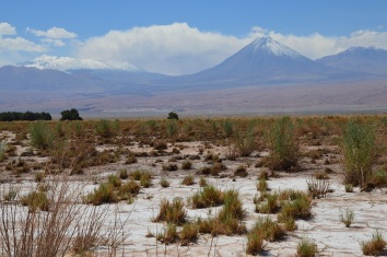 Ren Sairecabur und Salzpfanne in der Atakama